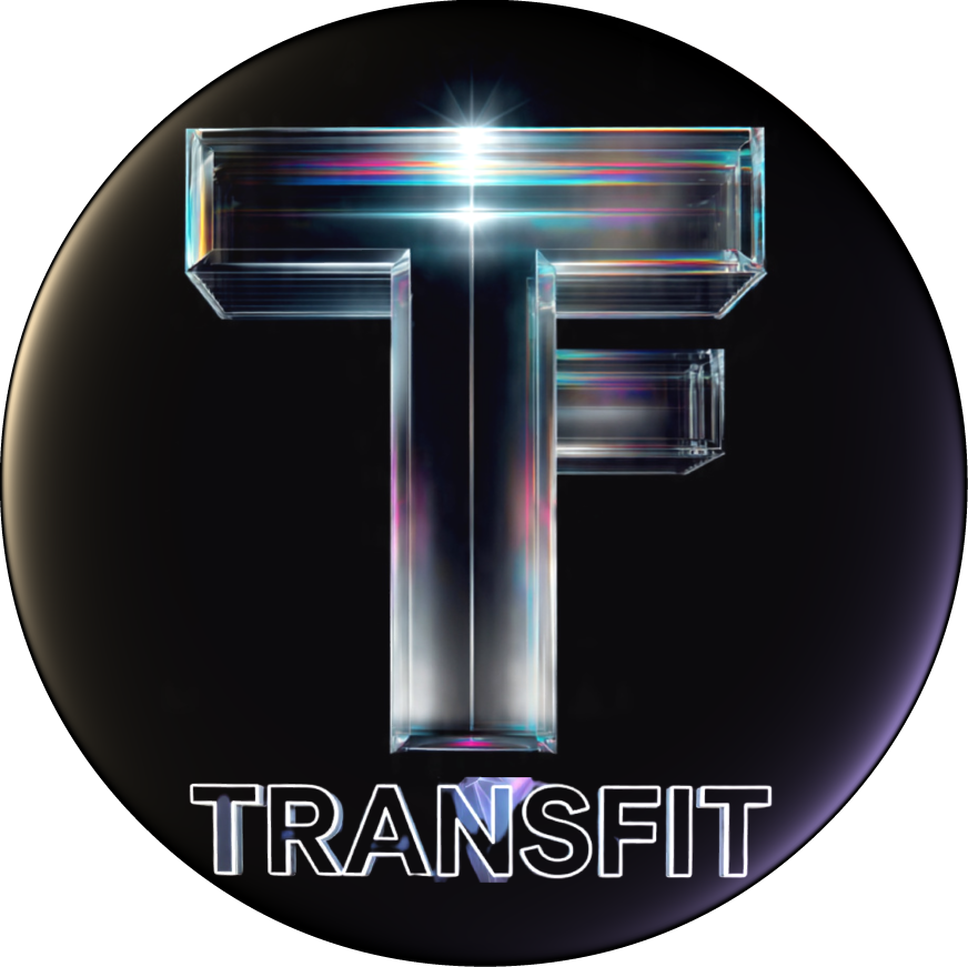 Logo Transfit